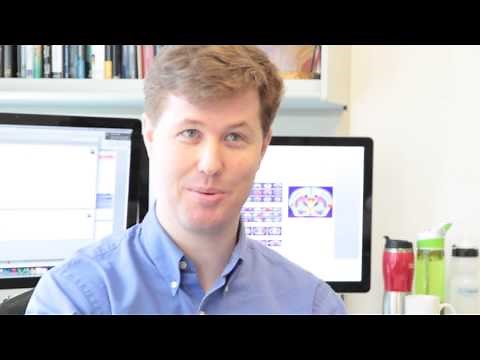 Systems Biology Explained