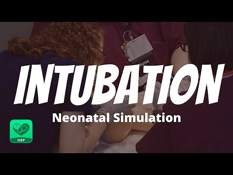 Neonatal Intubation Procedure | NRP Mastery for Nurses