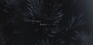 Learn Squared Review - Motion Array