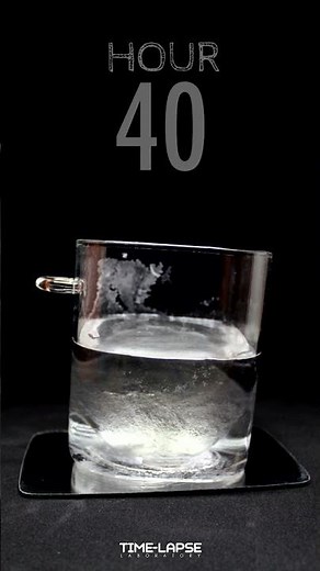 Water freezing timelapse #Shorts