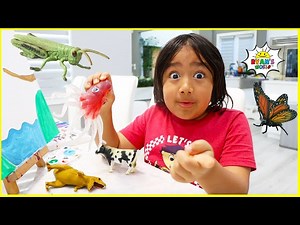 Ryan Pretend Play Bugs Catching and learning about insects for kids!!! - Videos For Kids