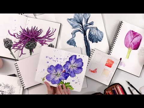 How to cultivate a sketchbook habit