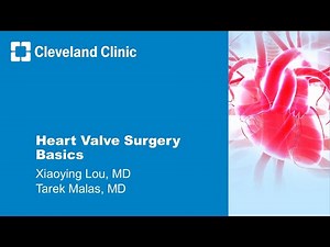 Heart Valve Surgery Basics