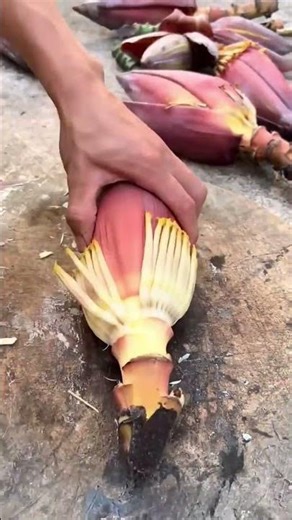 Cutting process of banana core