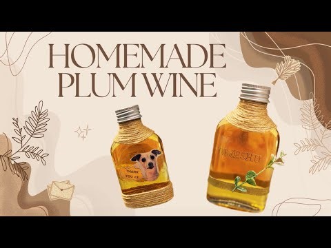 Homemade Umeshu in 3 Minutes | Easy Japanese Plum Wine Recipe