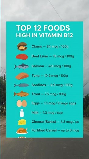 Top 12 Foods High in Vitamin B12 | Best Sources of Vitamin B12 for Energy & Nerve Health