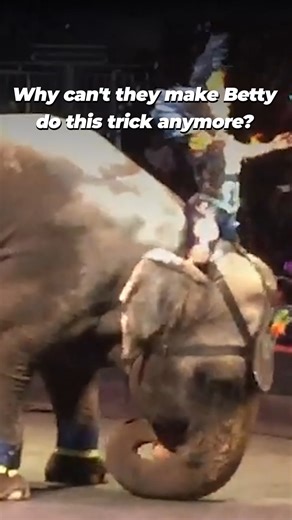 167K views · 8.4K reactions |  URGENT: BETTY IS RUNNING OUT OF TIME...