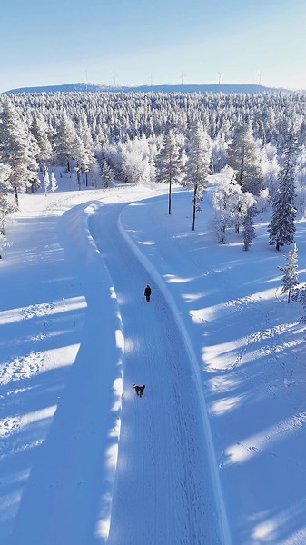 Exploring the Beauty of February in Lapland