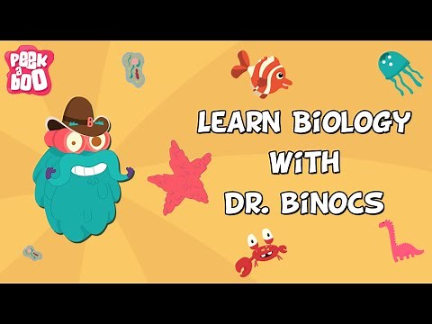 Learn Biology With Dr. Binocs | Compilation | Learn Videos For Kids