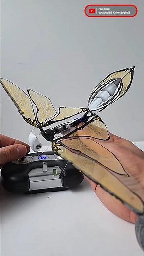 📜"Ever seen a butterfly robot that actually flies? Watch this hand-built remote-controlled insect!"