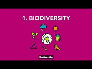 Spatial Development Frameworks - Environment (English)