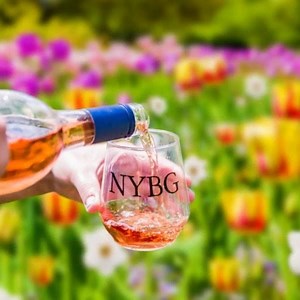 65K views · 111 reactions | Spring Uncorked is a wine lover's weekend featuring wineries from Hudson Valley, Brooklyn, and Long Island alongside the spring beauty of NYBG. Enjoy samples, listen to live music, and learn the science behind winemaking. | New York Botanical Garden | Facebook