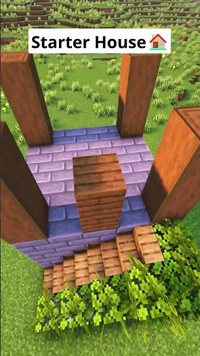 Minecraft Easiest Starter House🏠 #shorts