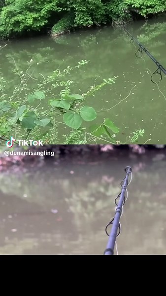 Float Fishing Techniques with Slow Sinking Baits