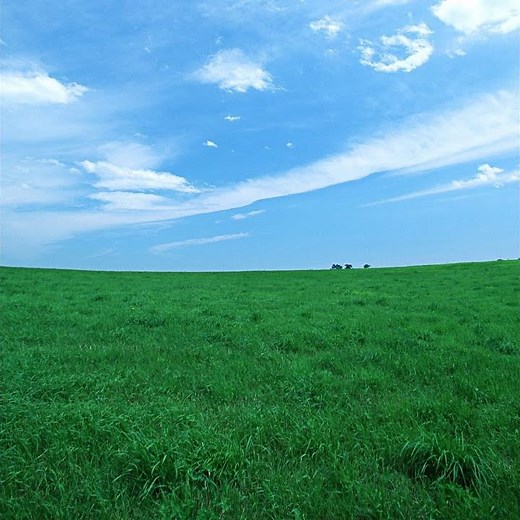 カメラのシャッター音 (効果音)