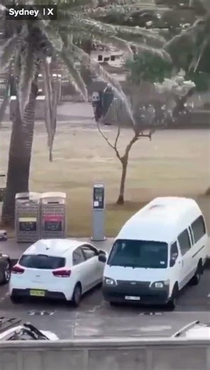 The Stunning Moment a Bystander Disarms One of the Bondi Beach Shooters
