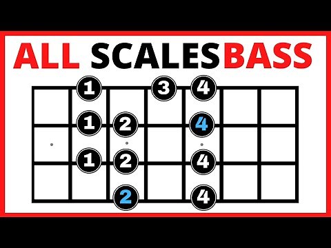 ✅ Bass Guitar Scales for Beginners 💥【All You Need to Know】✅ Bass Scales Patterns