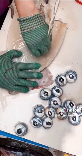 How to Clean a Squid Easily