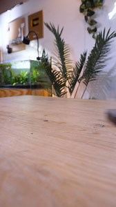 31K views · 196 reactions | Submarine in a Fish Tank? 樂 | Aquarium Info | Facebook