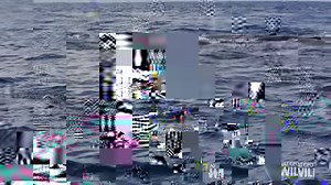 Killer whales are masters of teamwork and strategic attacks. Like a wolf pack, this orca family pod attacks a sperm whale. #AfricasDeadliest 8/7c http://on.natgeo.com/2iosbXT | National Geographic Animals