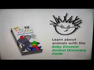 World Animals 2003 DVD