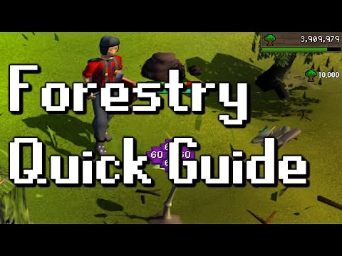 Forestry Quick Guide (OSRS)