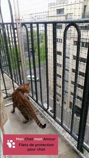Filet de protection pour chat pour balcon, avec filet escamotable et sans percer ! 🐾🐱👍