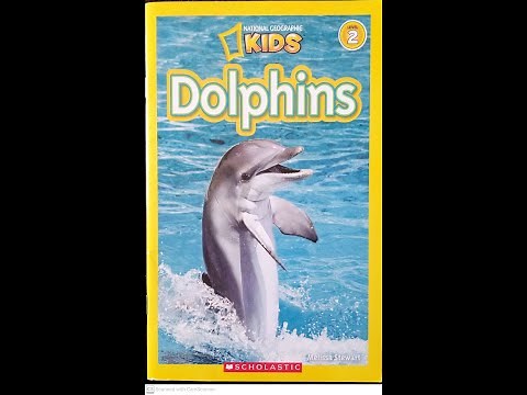 Read Aloud- Dolphins by Melissa Stewart | Nonfiction Animals