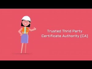 What is Public Key Infrastructure (PKI)? In 3 minutes