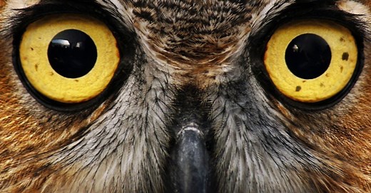 How to Minimize Distractions - Mindtools