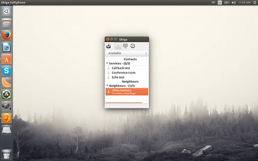 Best VOIP Clients for Linux (That Aren’t Skype) - Linux.com