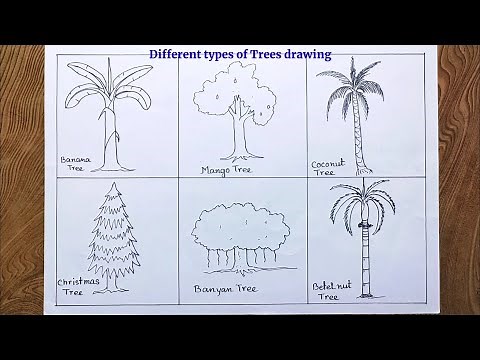 How to draw different types of trees step by step so easy for beginners