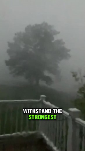 11 reactions | Brevard County Homeowners - Get 40% Off With FREE...