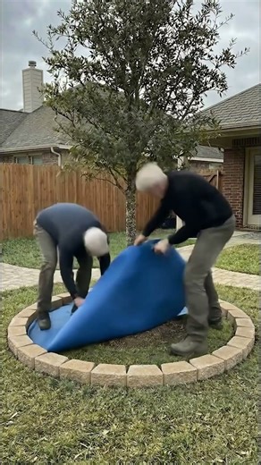 Build a Home for Your Tree | DIY