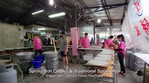 The Art of Making Perfect Spring Rolls Wrappers