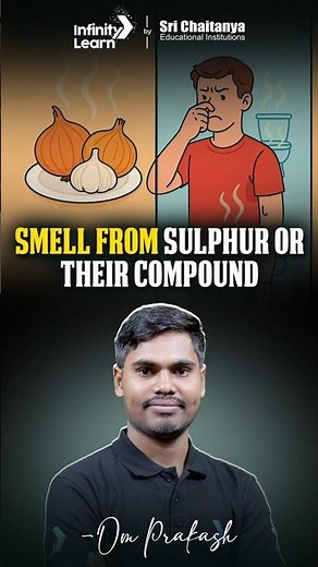 Why Do Sulphur Compounds Smell So Bad? 🤢 | Quick Science | JEE Chemistry #sulphur #badsmell #shorts