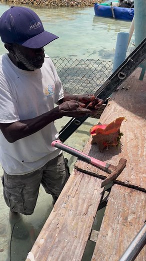 26M views · 270K reactions | Removing a mollusk from its conch shell  #fyp #conch #shell #bimini #bahamas #conchsalad #island #paradise #reels #shorts | Saltwater Salvation | Facebook