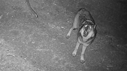 6.4K views · 352 reactions | Let's kick off the new year with some...