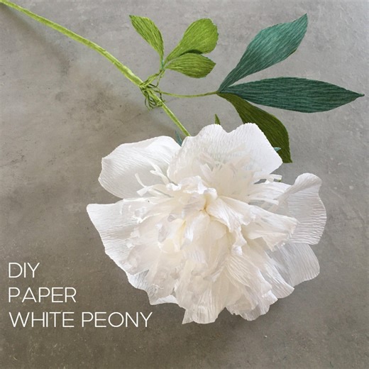 Crepe Paper Peony Tutorial: DIY Flower Instructions (PDF Download) - Etsy