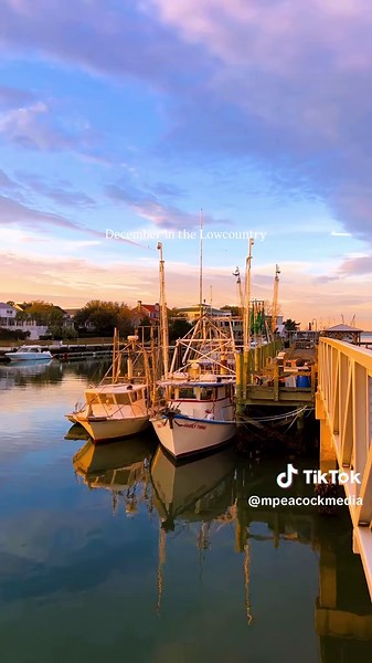 🌅 December in the Lowcountry December in the Lowcountry feels like the perfect mix of coastal charm and holiday excitement 🌴🎄 Charleston comes alive this month with festive events, waterfront celebrations, and that signature Lowcountry warmth that makes the season feel unforgettable. From twinkling lights wrapped around palm trees to oyster roasts by the water, December here has its own kind of magic. James Island’s Holiday Festival of Lights is a must-visit with millions of lights, marshmall