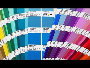 What are Pantone Colors?: The Guide to Color Consistency in Design