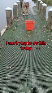 951 reactions · 15 shares | I will be trying to do this today. I love throwing the cast net. #shrimp #shrimplovers #shrimprecipes #fishing #saltwaterfishing #fish | Lance Billiot | Facebook