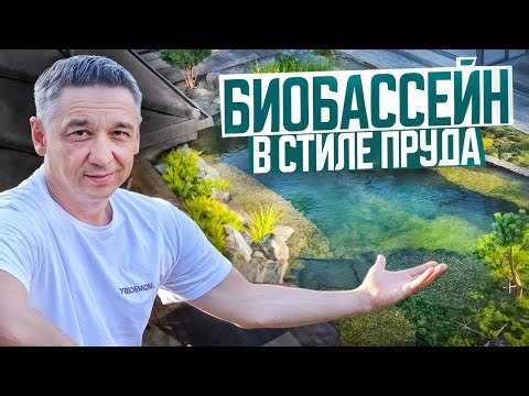 Биобассейн в стиле пруда: реально ли построить?