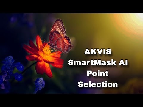 Point Selection - AKVIS SmartMask AI