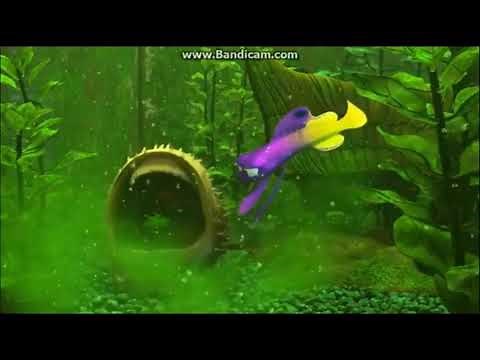 Finding Nemo : bloat burps at the purple fish