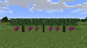 Simple Farming Mod Para Minecraft 1.20.1, 1.19.4, 1.16.5, 1.15.2, 1.14.4 - ZonaCraft