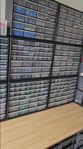 I built the BEST LEGO STORAGE of all time!