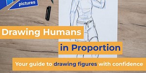 Drawing Humans in Proportion