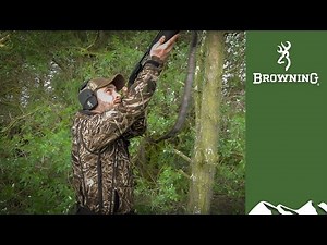 Scottish feral pigeon shoot