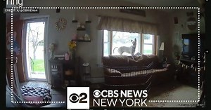 Earthquake caught on camera: multiple videos capture shaking in NJ and NY